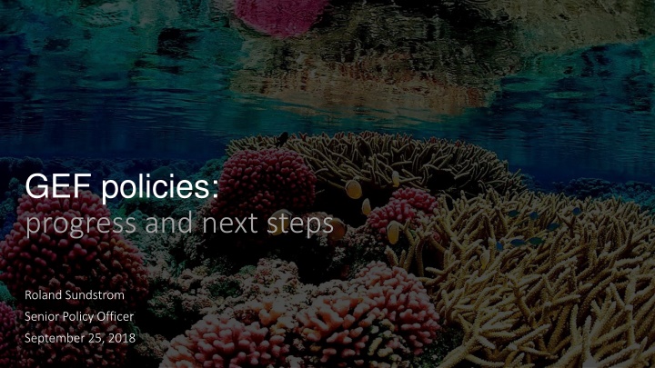 GEF Policies Progress and Next Steps Overview