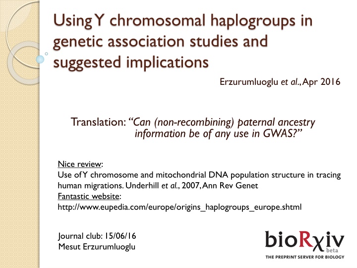 Y Chromosomal Haplogroups in Genetic Studies
