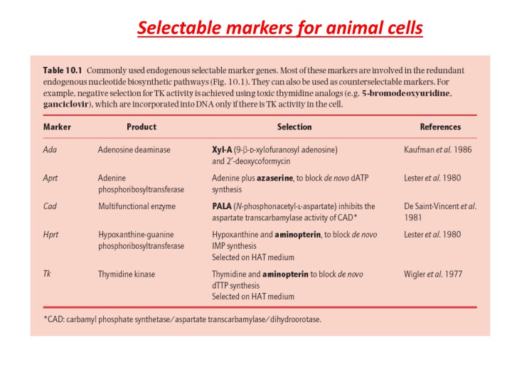 Stem Cells and Cell Potency in Animal Cells