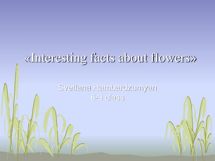 Fascinating Facts About Flowers - Svetlana Hambardzumyan 6-3 Class
