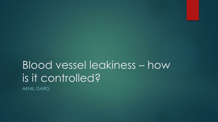 Blood Vessel Leakiness Control Mechanisms