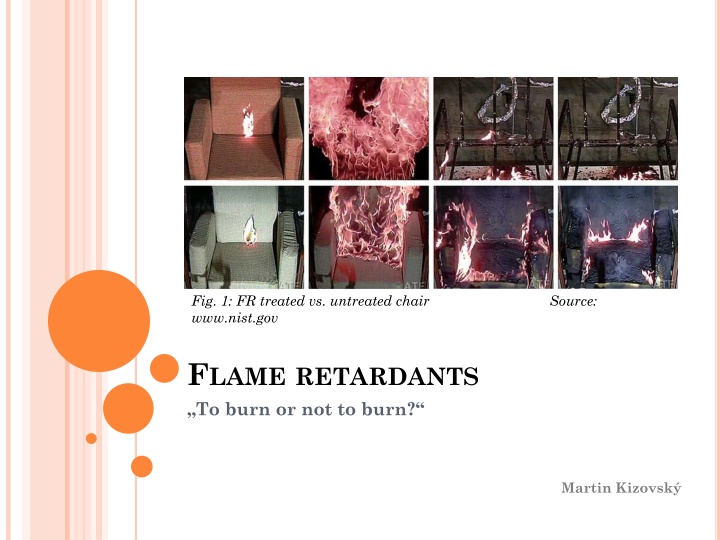 Flame Retardants: Risks, Overview, and Conclusion