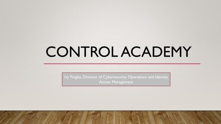 Information Technology Controls: Design and Implementation Overview