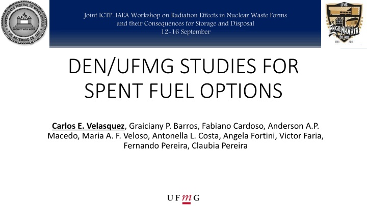 Advancements in Nuclear Energy Research and Technology at UFMG