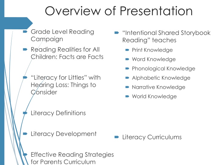 Promoting Grade-Level Literacy Skills in Children