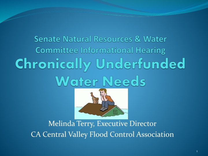Central Valley Flood Control Association - Addressing Flood Challenges in California