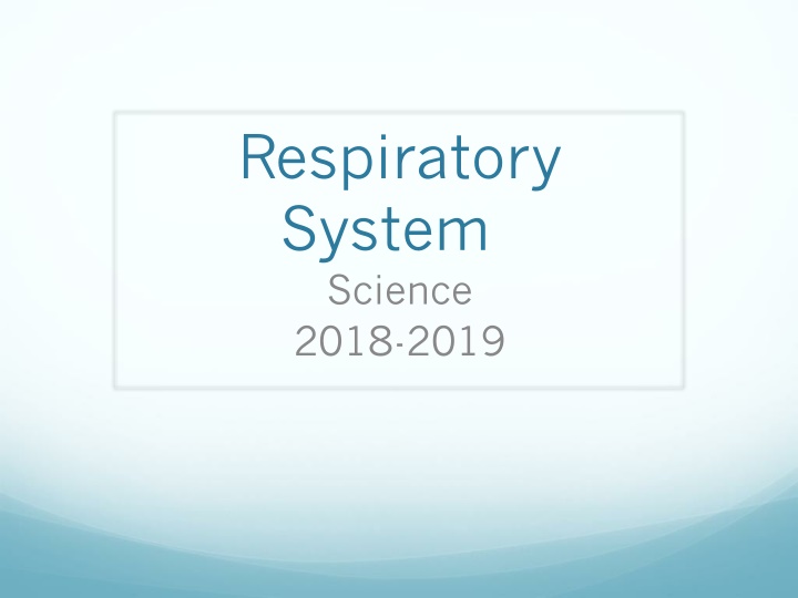 The Respiratory System and the Process of Respiration