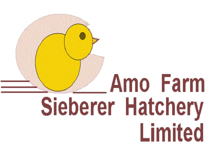 Innovative Poultry Solutions at AMO FARM SIEBERER HATCHERY LTD