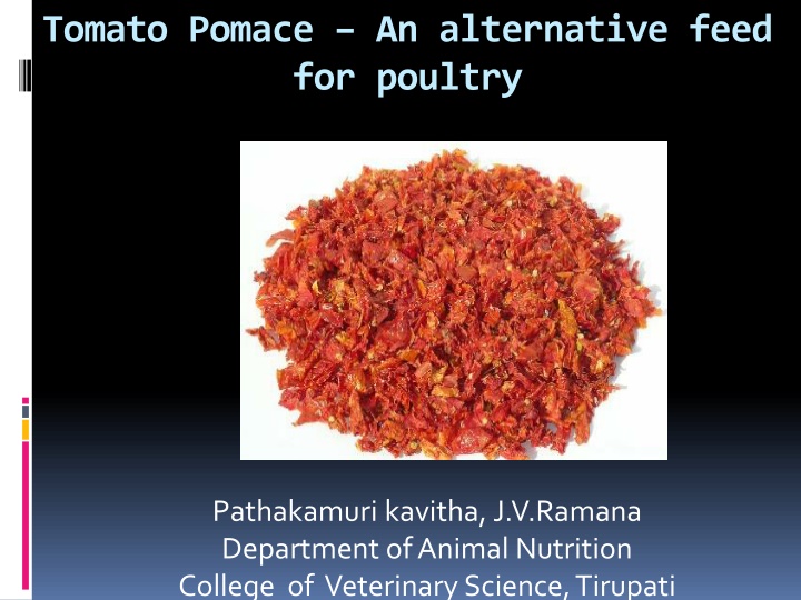 Tomato Pomace as an Alternative Feed for Poultry in India