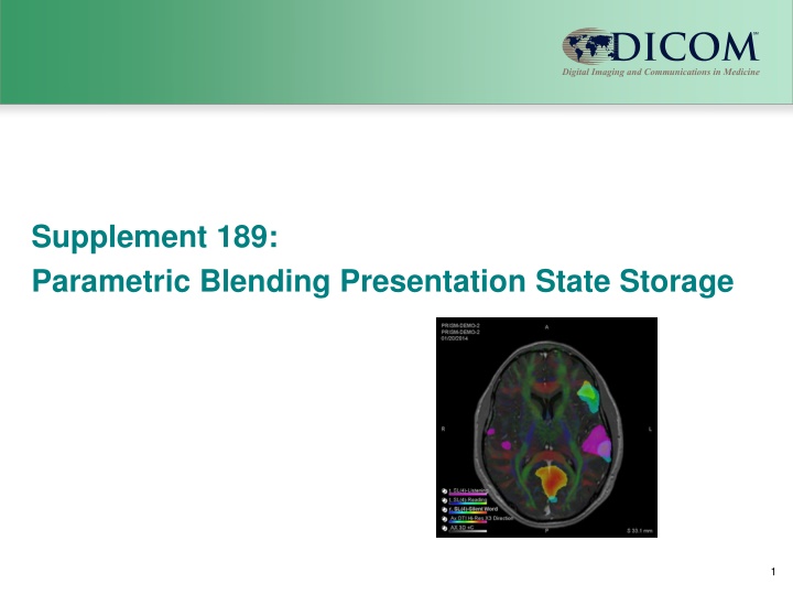 Parametric Blending Presentation State Storage