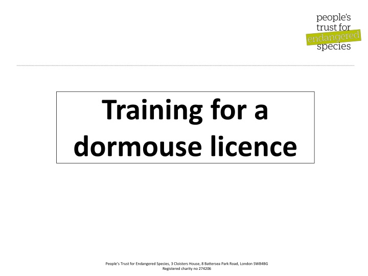 Dormouse Licence Training and Requirements
