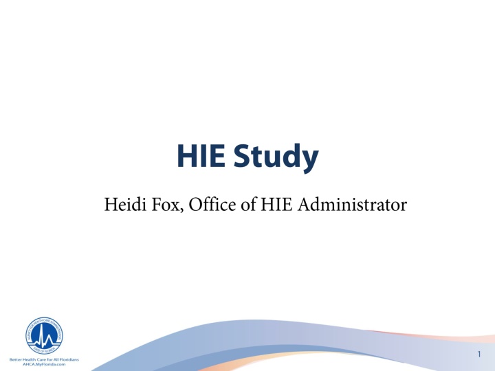 Comprehensive Analysis of HIE Environment in Florida