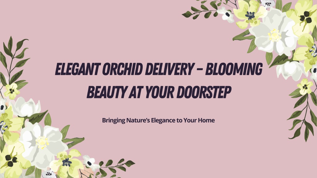 elegant orchid delivery blooming beauty at your l.w