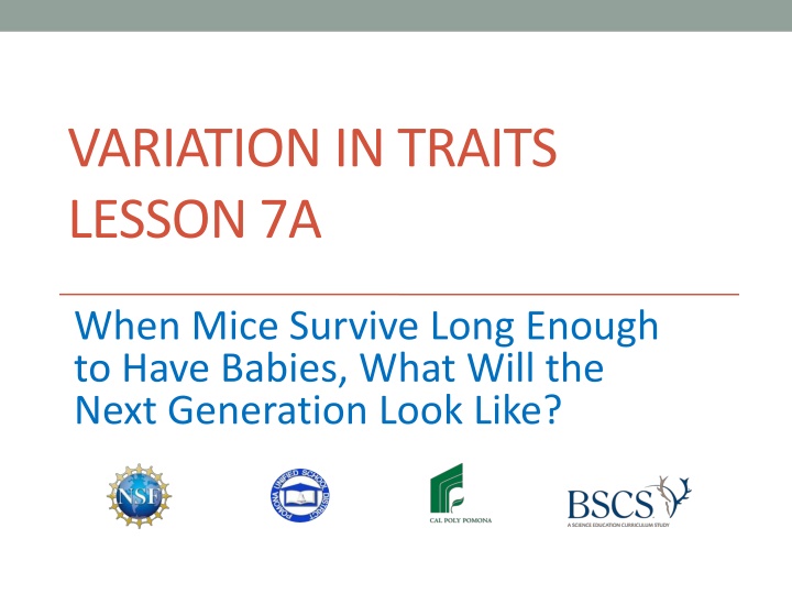 Trait Variation: Survival of Mice in Changing Environments