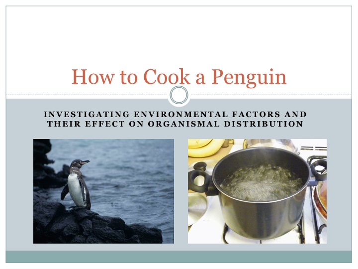 Investigating Environmental Factors and Penguin Distribution in the Galapagos Islands