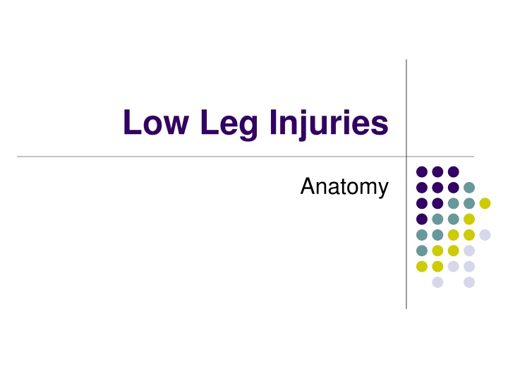 Low Leg Injuries and Anatomy