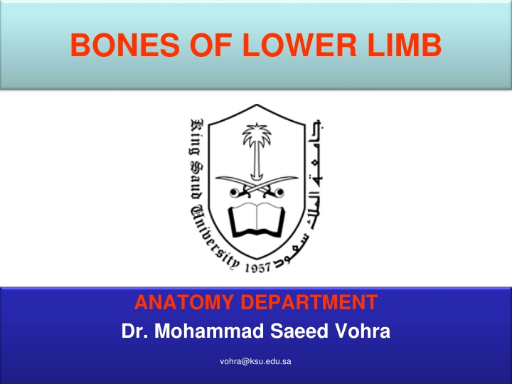 Anatomy of Lower Limb Bones: Thigh (Femur and Patella) Overview