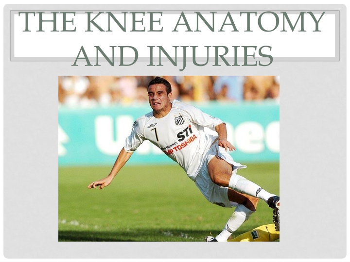 Knee Anatomy and Injuries