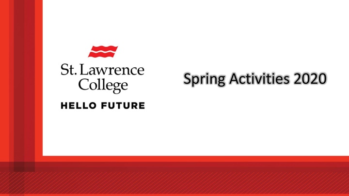 Innovative Spring Activities for Grade 7 & 8 Students