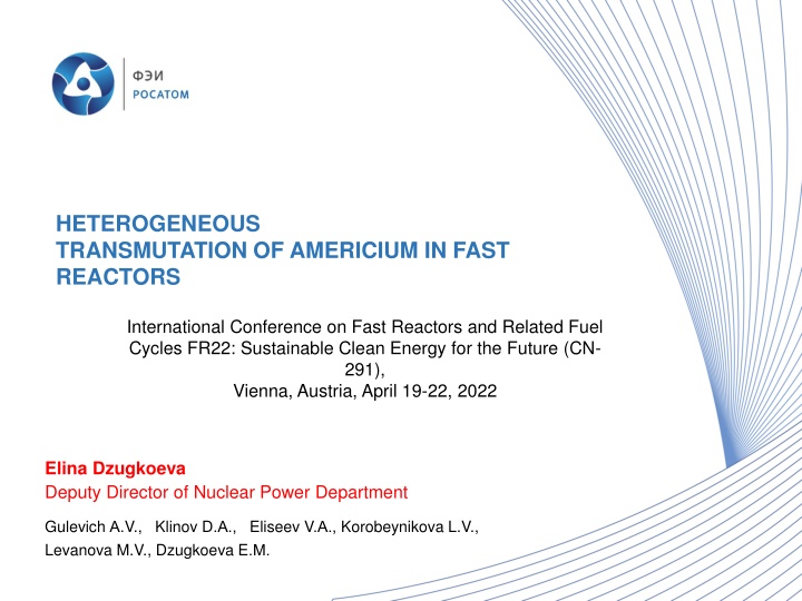 Heterogeneous Transmutation of Americium in Fast Reactors: Burning for Sustainable Energy