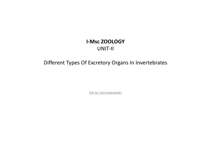 Overview of Different Excretory Organs in Invertebrates