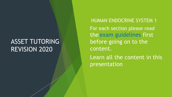 Overview of the Human Endocrine System