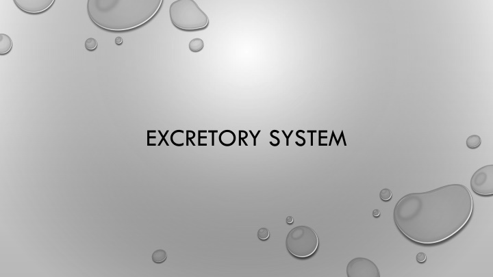 The Excretory System and Kidney Functions