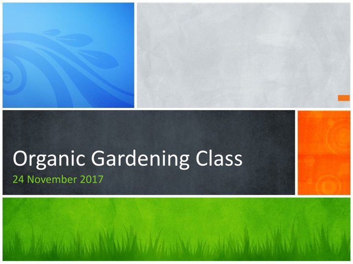 Organic Gardening Class Highlights: Learning, Planting, and Nurturing