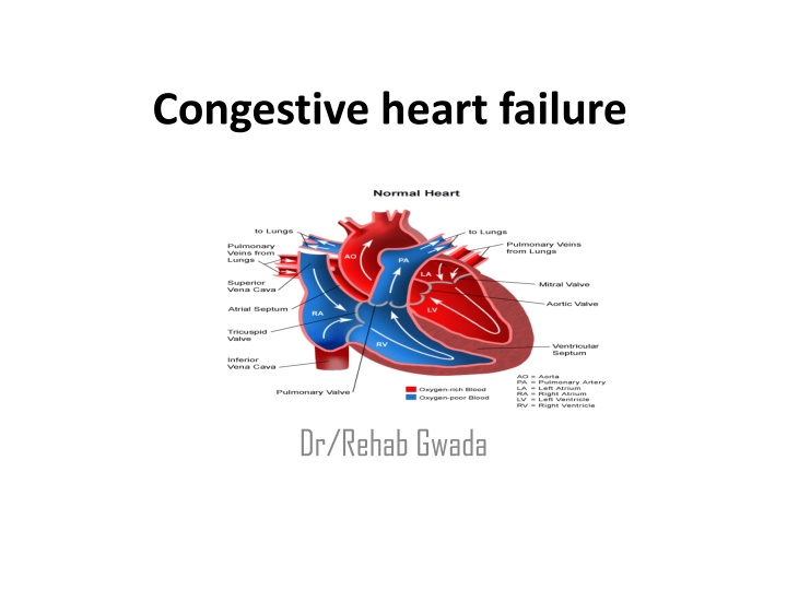 Congestive Heart Failure: Causes, Pathophysiology, and Management