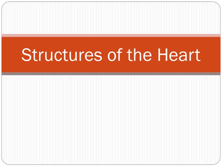 Structures of the Heart and Its Arteries