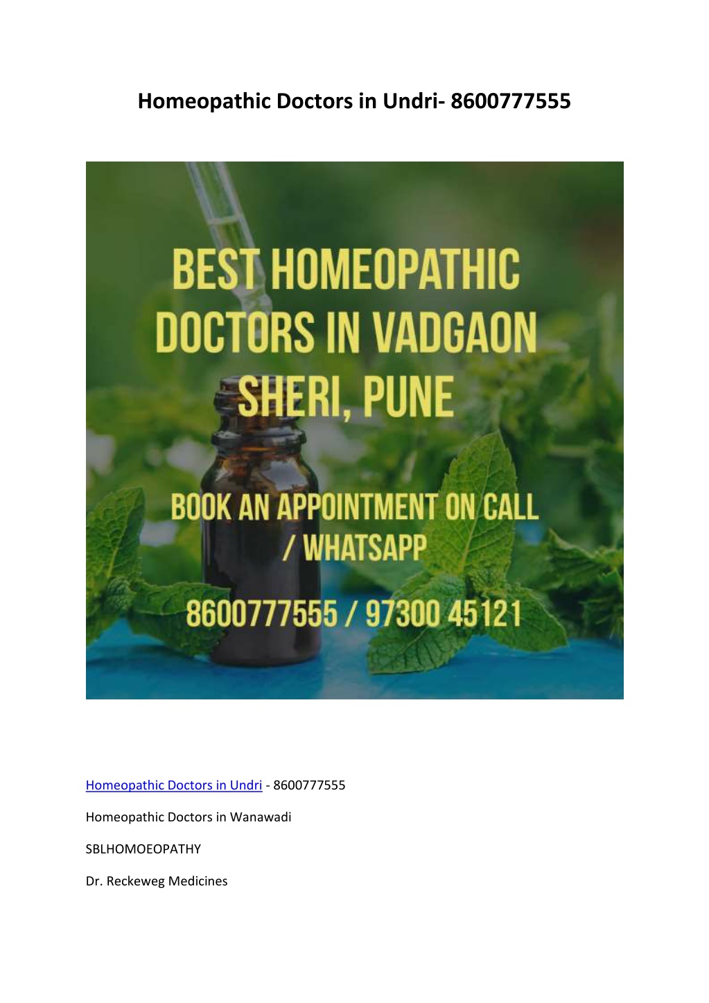 homeopathic doctors in undri 8600777555 l.w