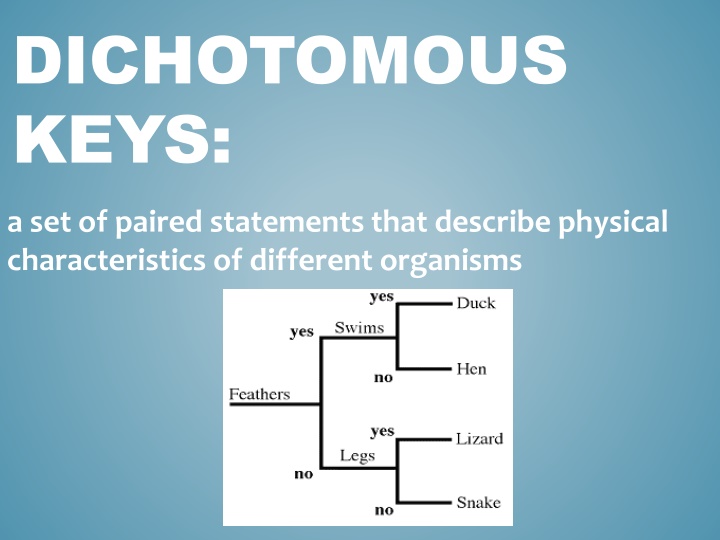 Dichotomous Keys and Cladograms in Evolutionary Biology
