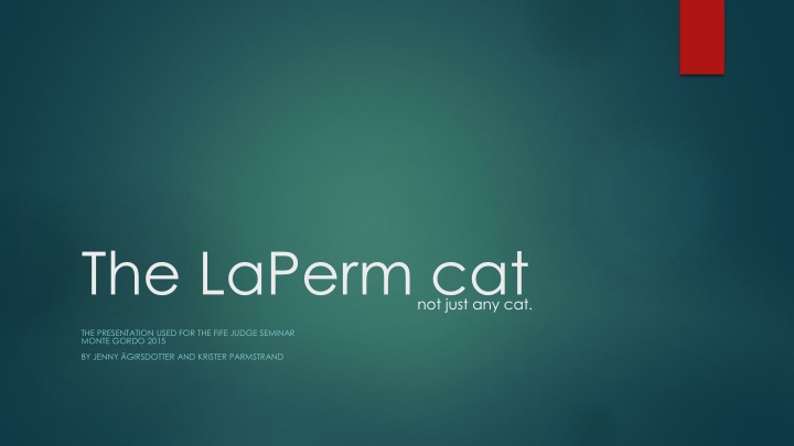 The LaPerm Cat: A Unique Feline Breed