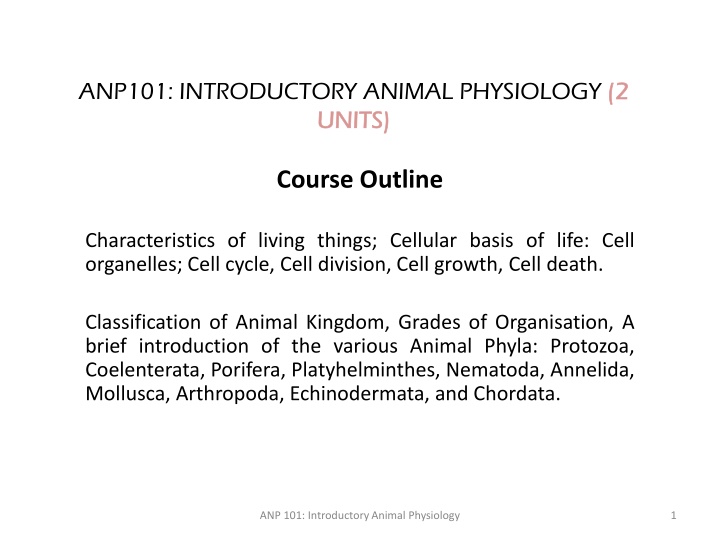 Introduction to Animal Physiology and Cellular Biology Overview