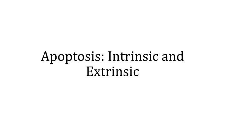 Apoptosis: Intrinsic and Extrinsic Pathways