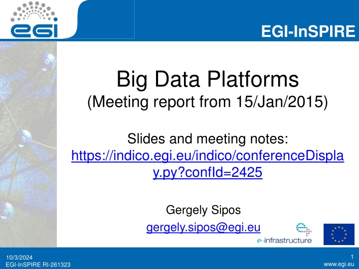 Big Data Platforms: Meeting Report and Insights