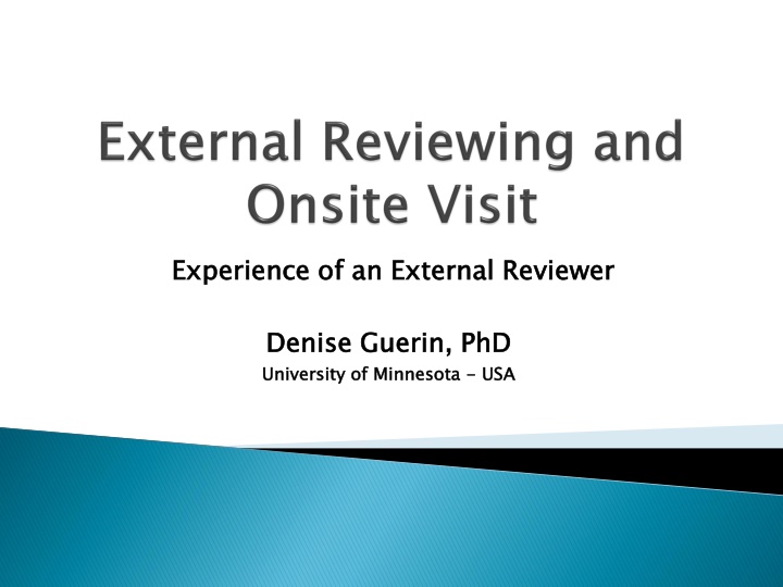 Expertise in External Reviewer Practices for Higher Education Evaluation