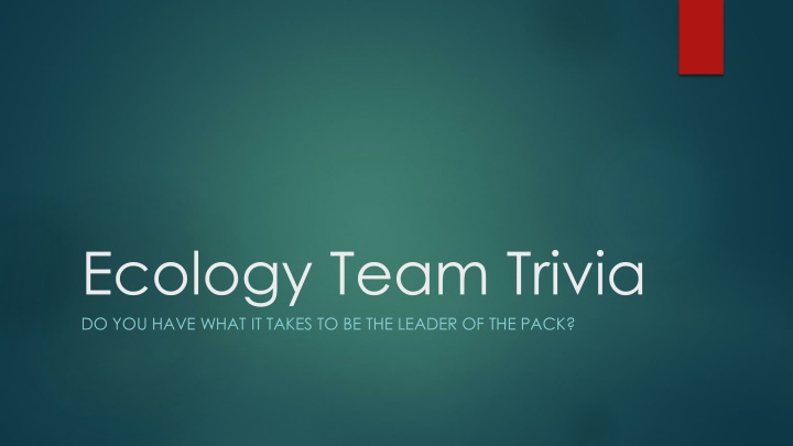 Ecology Team Trivia: Test Your Environmental Knowledge!