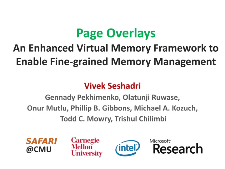 Enhanced Virtual Memory Framework for Fine-grained Memory Management
