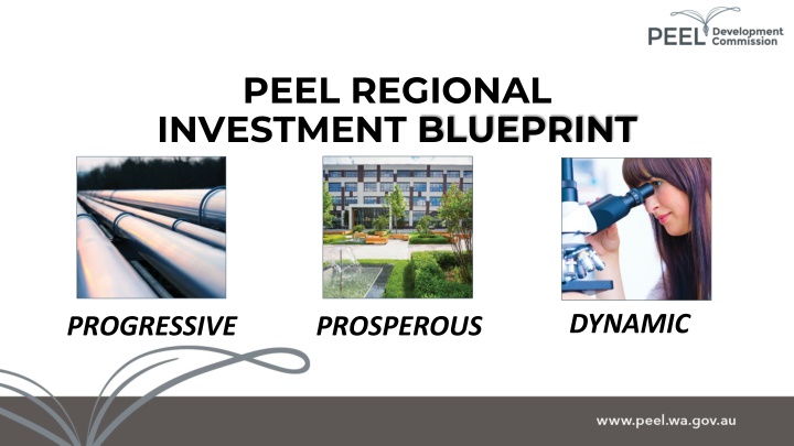 Peel Regional Investment Blueprint: Dynamic Progress Towards Prosperity
