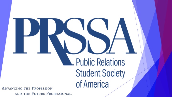 Public Relations: Insights into the PR Industry