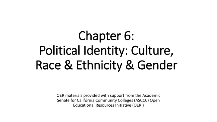 Political Identity: Culture, Race & Gender in Society