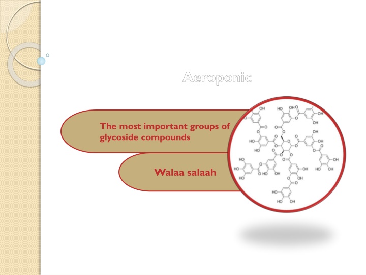 Overview of Important Glycoside Compounds and Their Properties