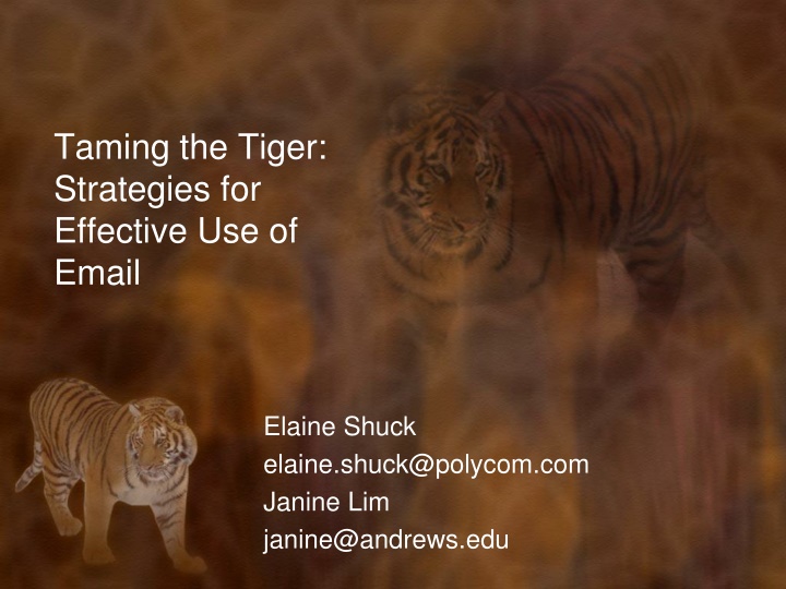 Effective Email Strategies: Taming the Tiger