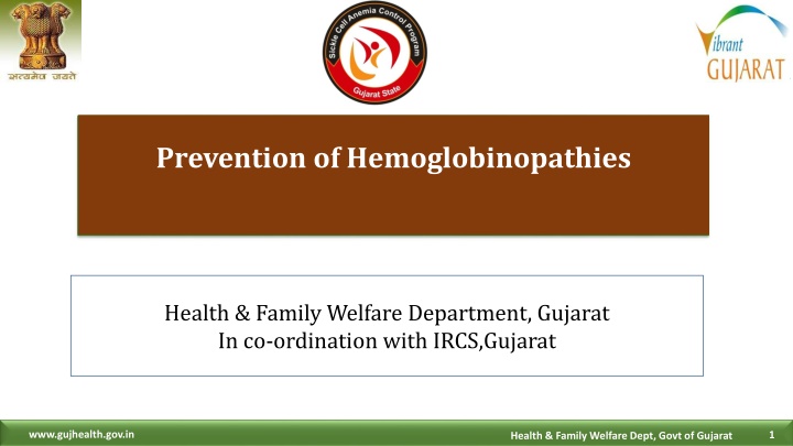 Comprehensive Program for Prevention of Hemoglobinopathies in Gujarat