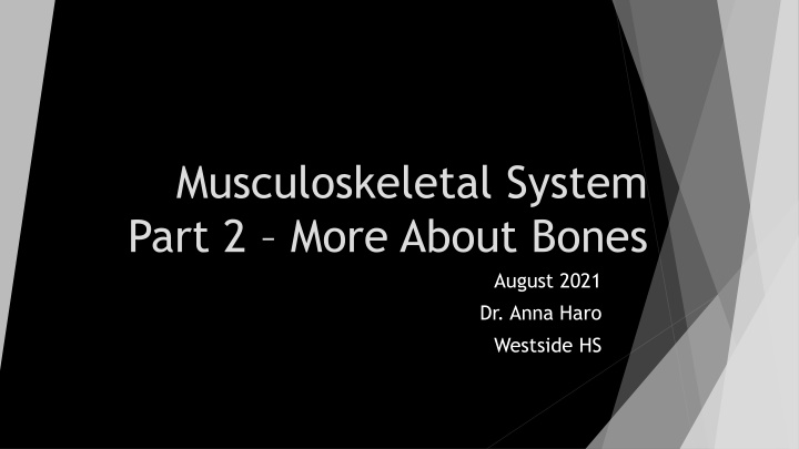 Human Skeleton Anatomy: Bones, Structure, and Functions
