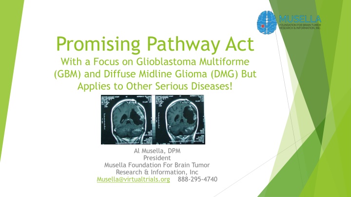 Promising Pathway Act for GBM and DMG Challenges