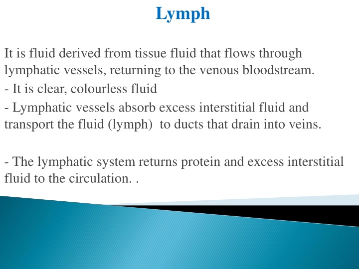The Lymphatic System: Functions and Importance