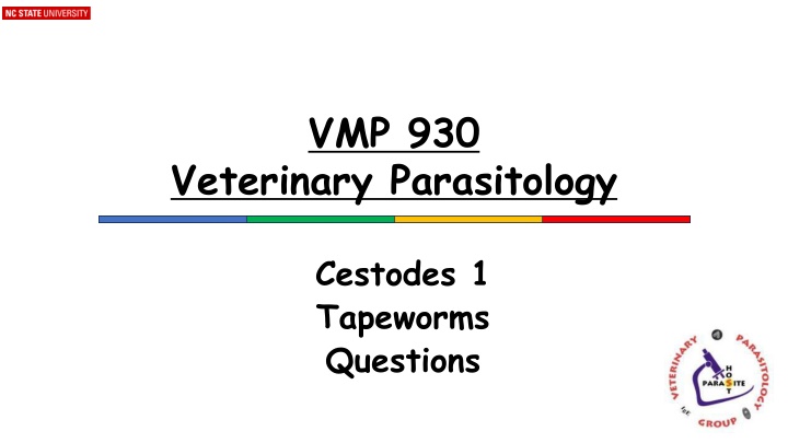 Tapeworm Infections in Veterinary Parasitology