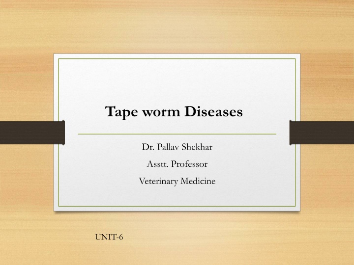 Tape Worm Diseases in Veterinary Medicine
